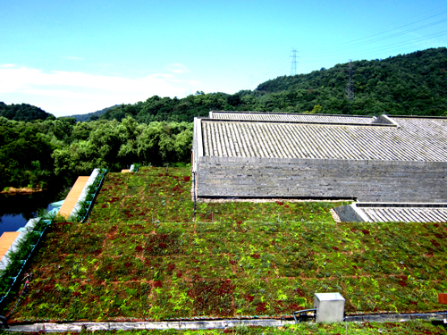 钱江新城 屋顶绿化群 中国风景园林网