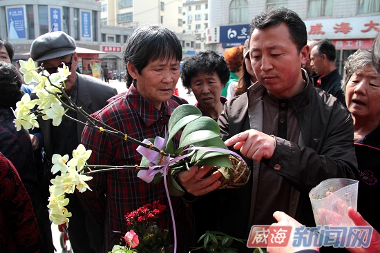 园林种植 园林赏花 景观园林