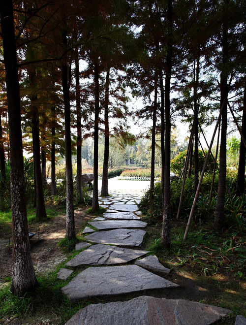 云龙湖 珠山景区 绿化工程 杭州园林