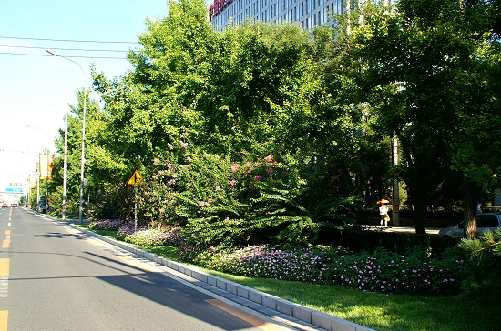 北京市重点城市道路规划设计