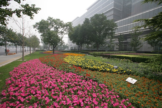 长安街建国路景观大道规划建设