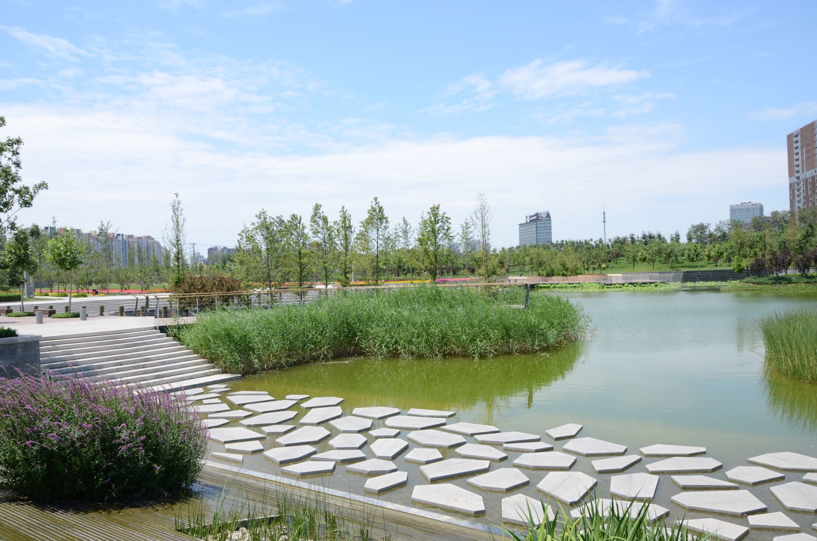 北京大望京公园规划设计赏析