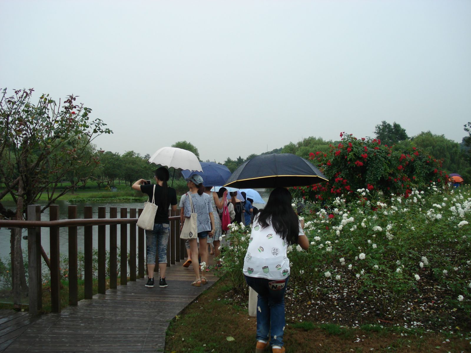 系列报道3：南林风景园林学院走进企业和学校