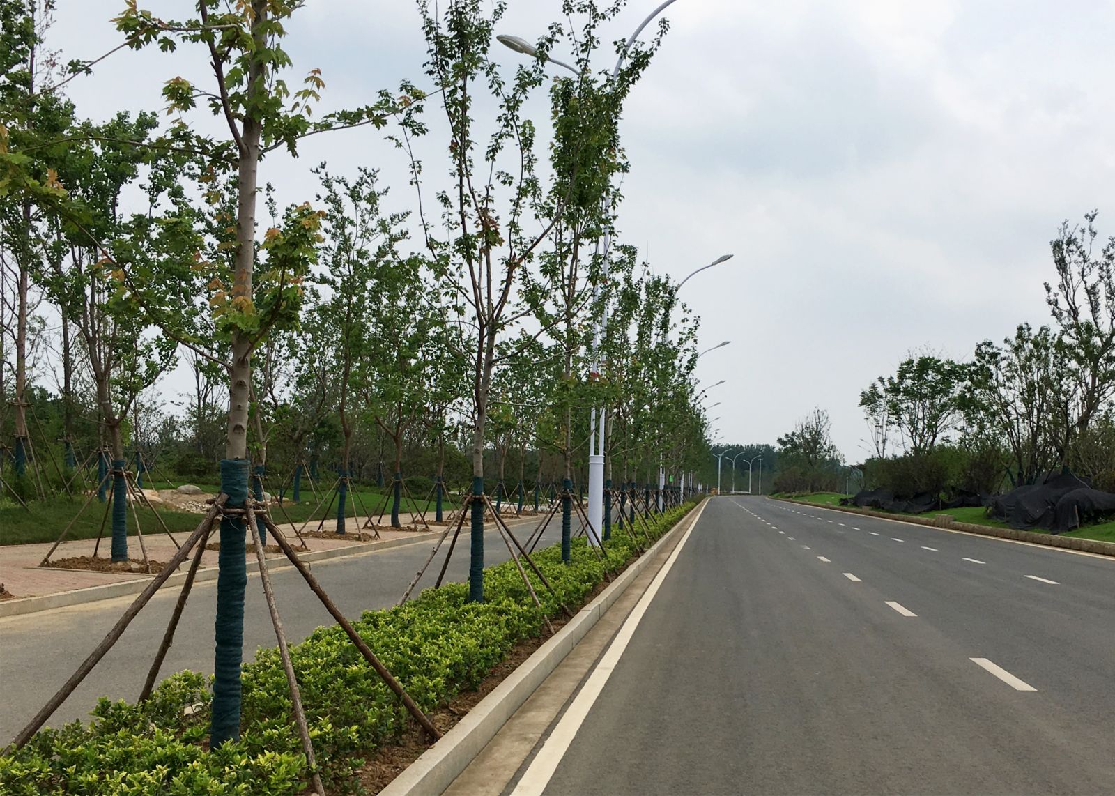 苏滁现代产业园2017年度第一批绿化景观工程