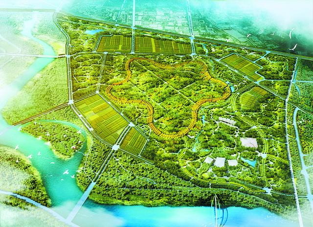 北京城市副中心5.5公里星形园路全线贯通，预计年底前增绿8000亩
