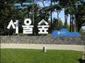韩国首尔的“中央公园”——首尔林